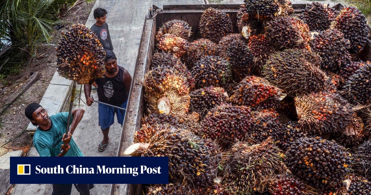 Indonesia takes on Malaysia in battle over palm oil pricing