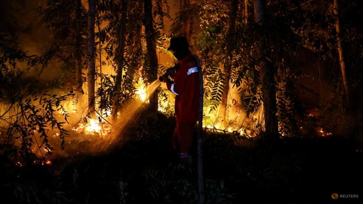 Singapore-listed firm Kencana Agri facing inquiry by Indonesian authorities over suspected land clearing by burning
