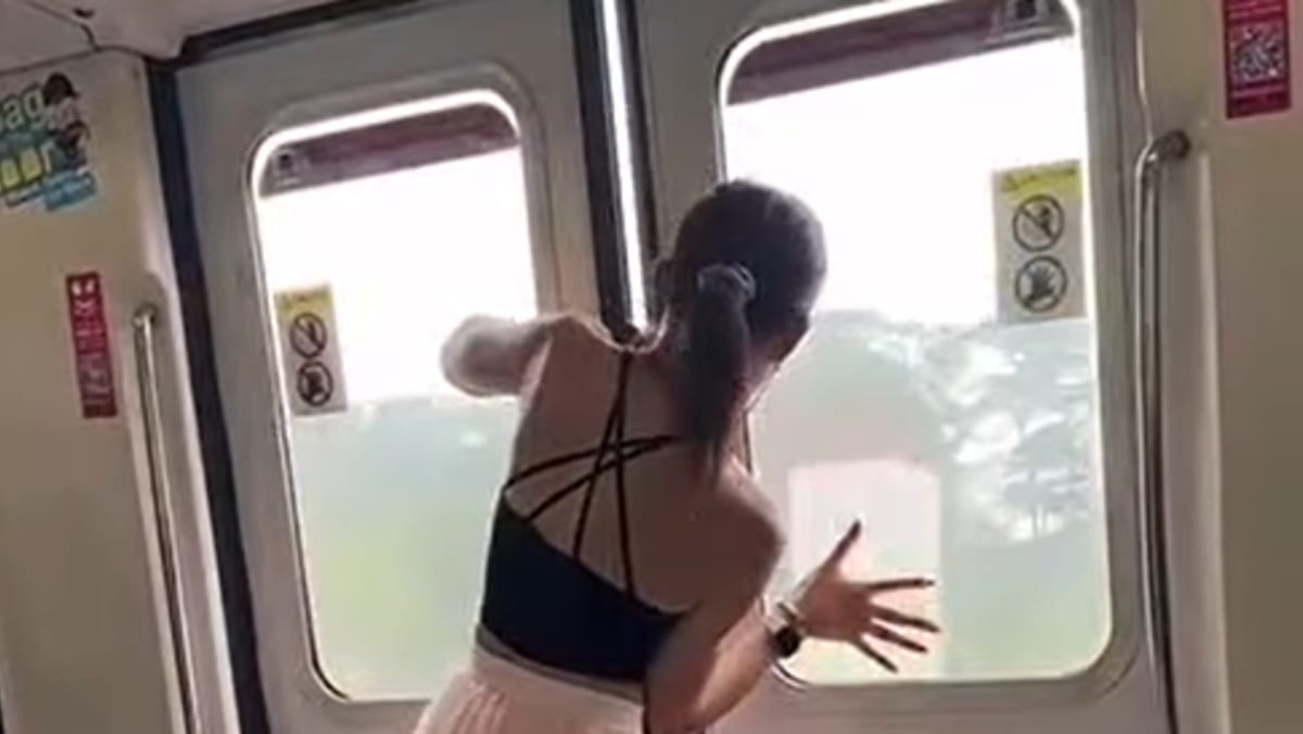 Man seen in viral video trying to force open MRT train doors charged with public nuisance