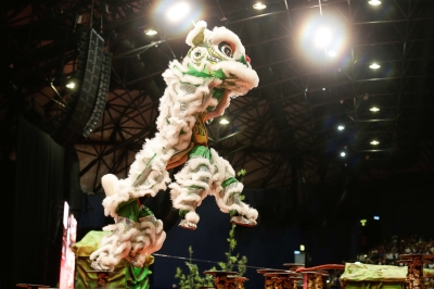 Malaysia, China to jointly nominate lion dance for Unesco Cultural Heritage List