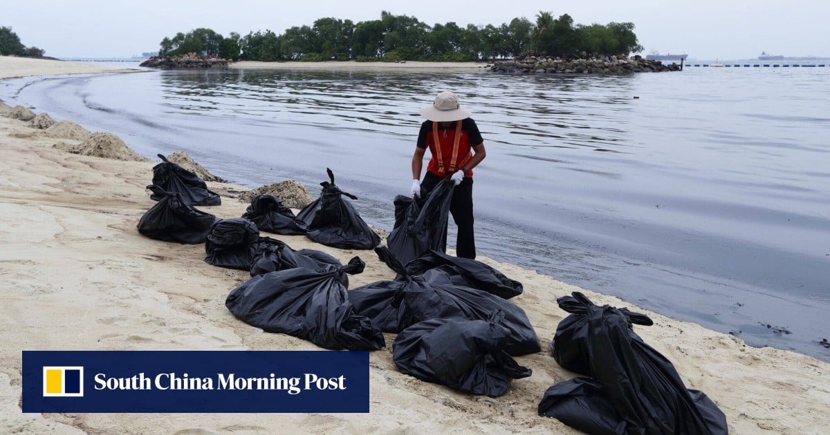 Singapore oil clean up to take 3 months before beaches gradually reopen: minister Grace Fu