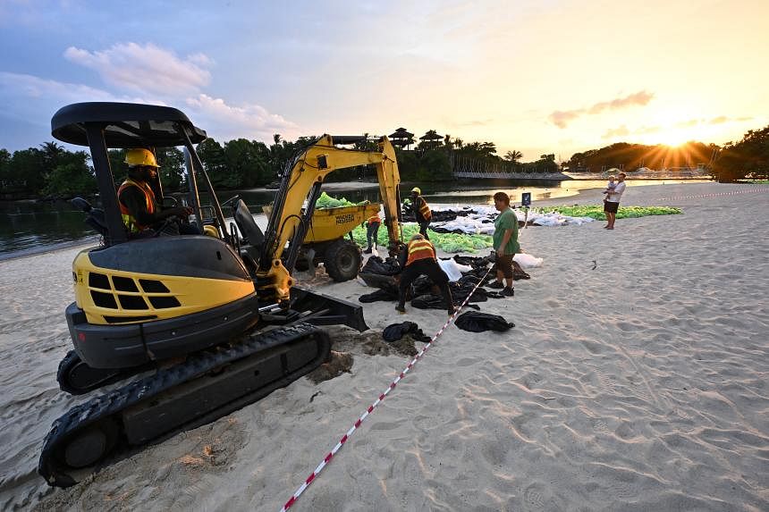 Volunteers may be called on to help with final phase of beach cleanups