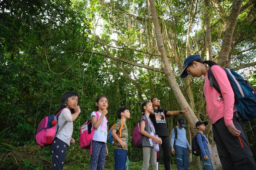 ‘Kids are like sponges’: Raising eco-warriors from as young as 2-years-old