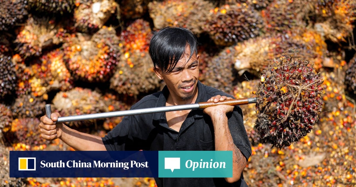 Opinion | The push for sustainable palm oil isn’t going far enough