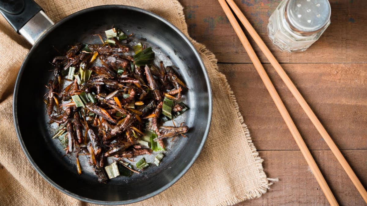 FAQ: Eating insects – what you need to know, from allergies, nutrition and halal status