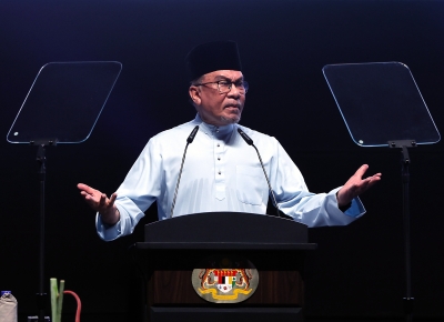 Govt ready to toughen laws on racial incitement, PM Anwar says 