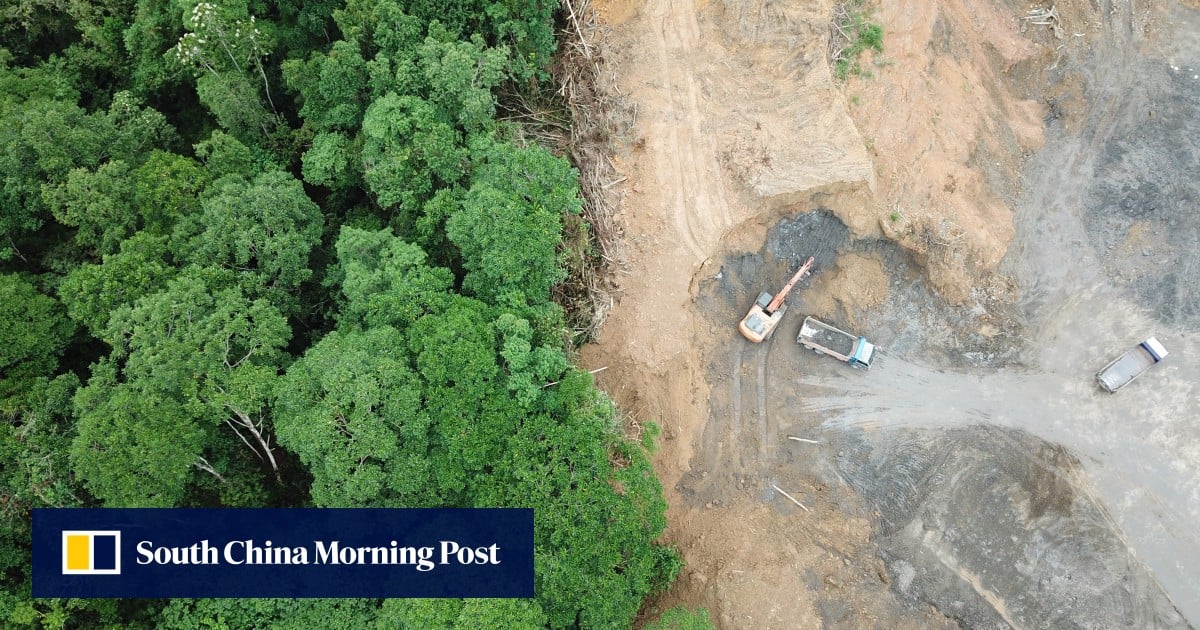 Energy-hungry Singapore eyes Malaysia’s rainforests, Australia’s deserts, for clean power