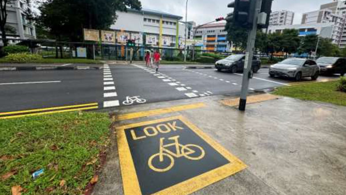 11km of cycling paths between Choa Chu Kang and Yew Tee completed