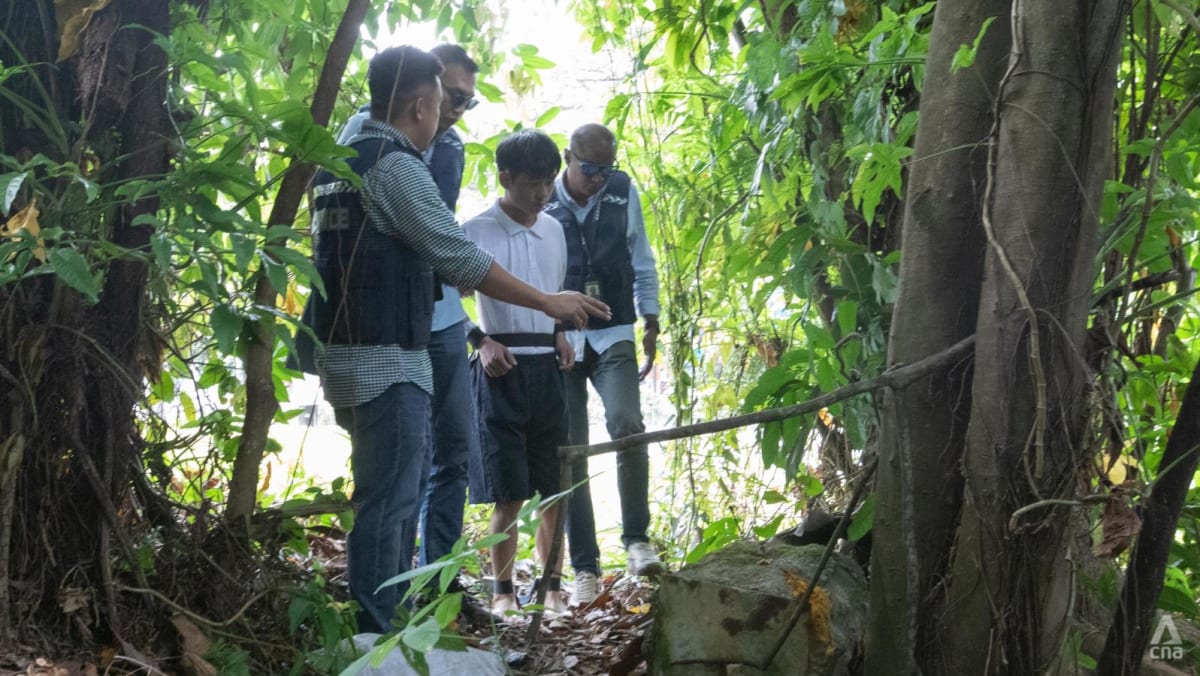 Spate of housebreaking cases near Bt Timah linked to foreign syndicates, police looking for 14 Chinese nationals