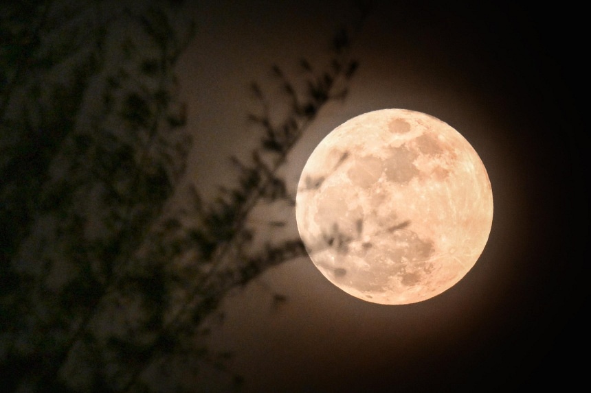 Harvest Moon to light up the sky on Sept 18, one day after Mid-Autumn Festival