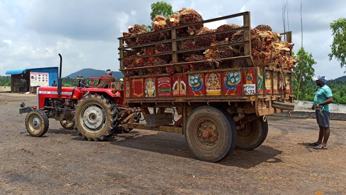 Exclusive-Indian refiners cancel palm oil contracts on duty hike, price rise