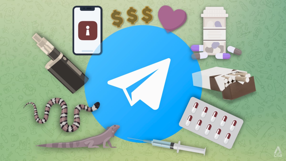 IN FOCUS: We reported 20 illegal groups to Telegram. Most were still online 2 weeks later