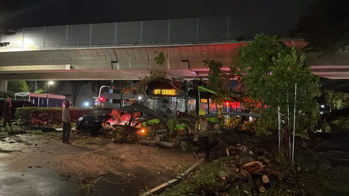 Trees felled by strong winds as heavy rain hit Singapore