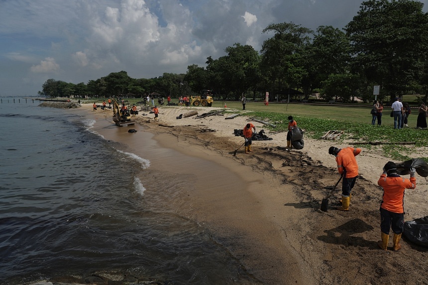 New 15-month research plan to monitor impacts of oil spill on marine biodiversity: Desmond Lee