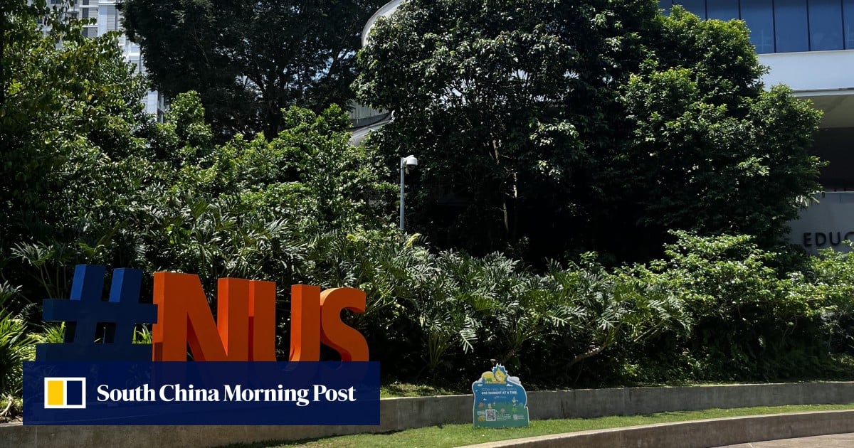 China’s tiger mums tour Singapore universities during holiday to give children competitive edge