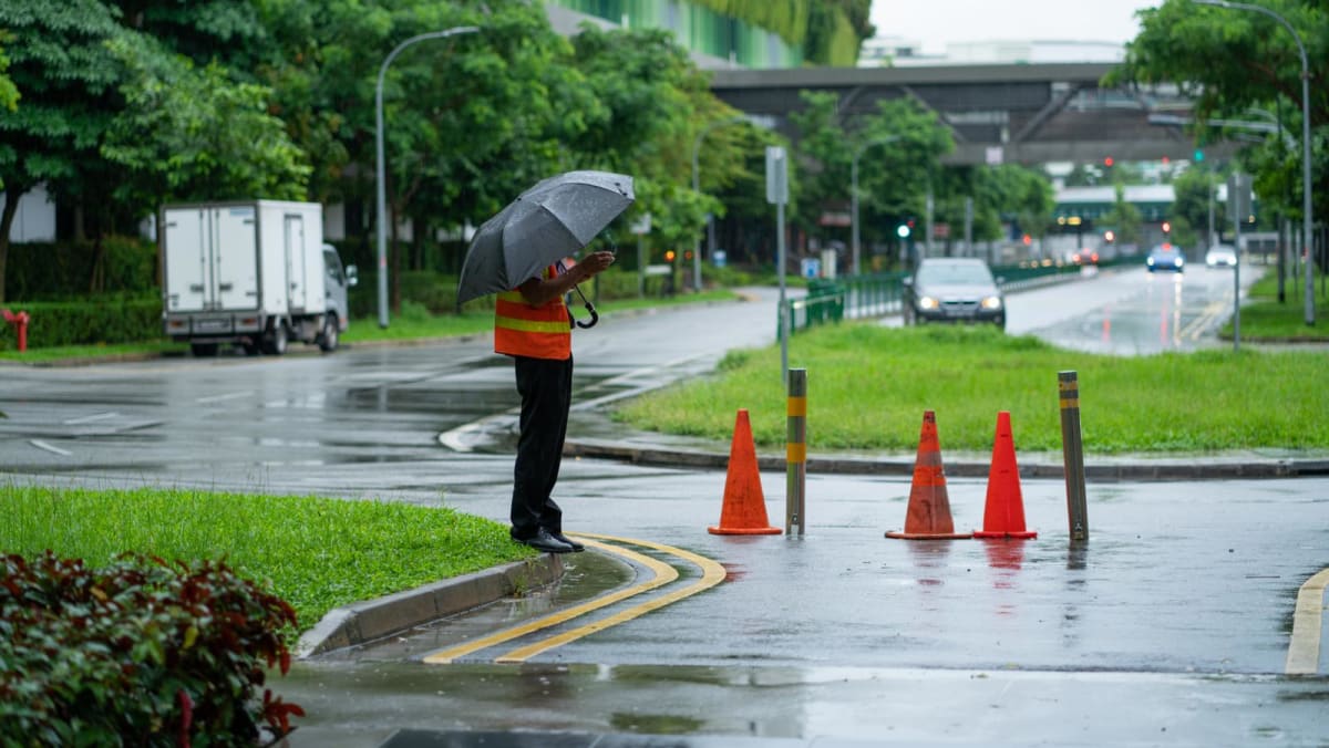 The ‘new normal’: Singapore firms face higher costs in preparing for erratic weather