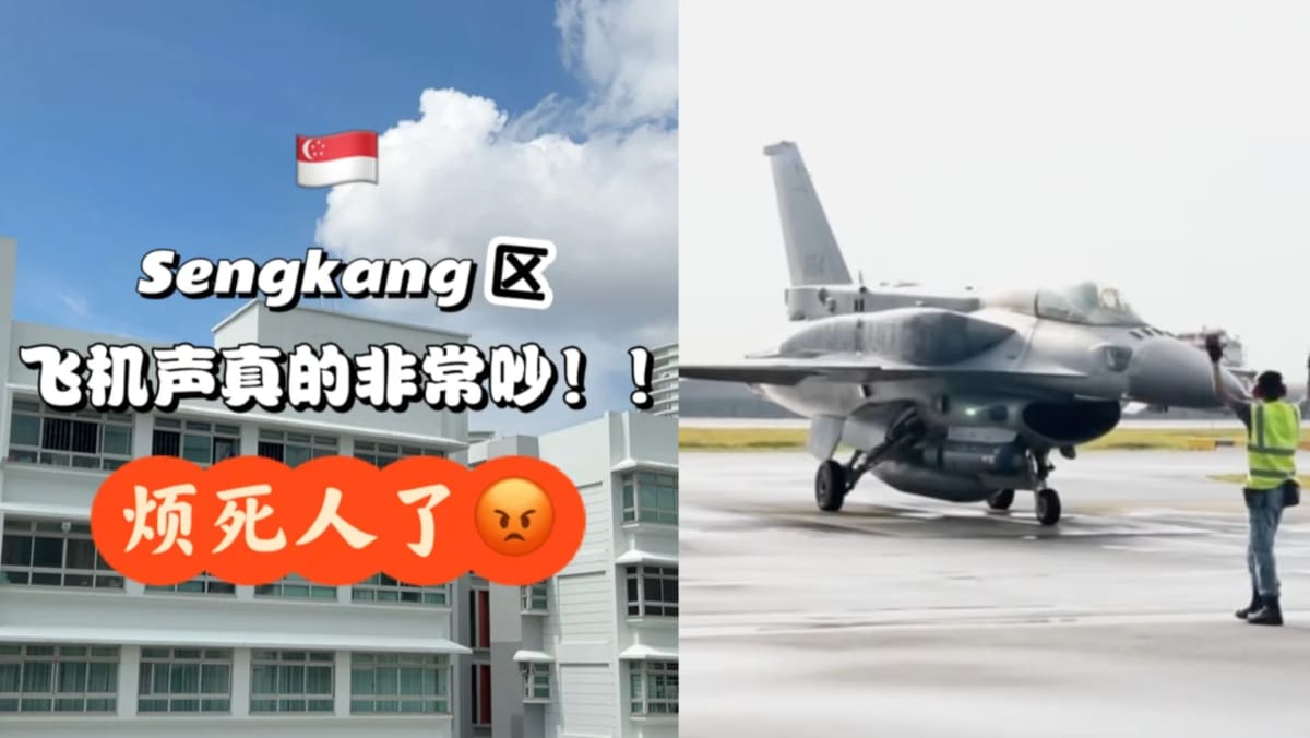 Sengkang Resident Complains About “Exceptionally” Loud Aircraft Noise In The Area