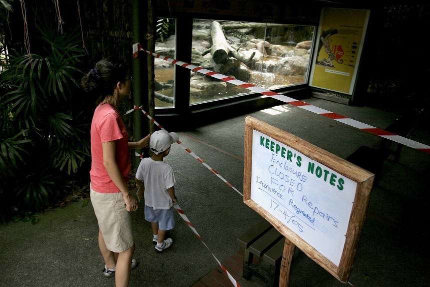 Twiggy the panther, Congo the hippo, and other animals that escaped their homes at Singapore Zoo