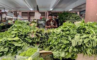 Bang for ‘buka’ buck? Sunny weather expected to keep vegetable prices low during Ramadan’s slow season