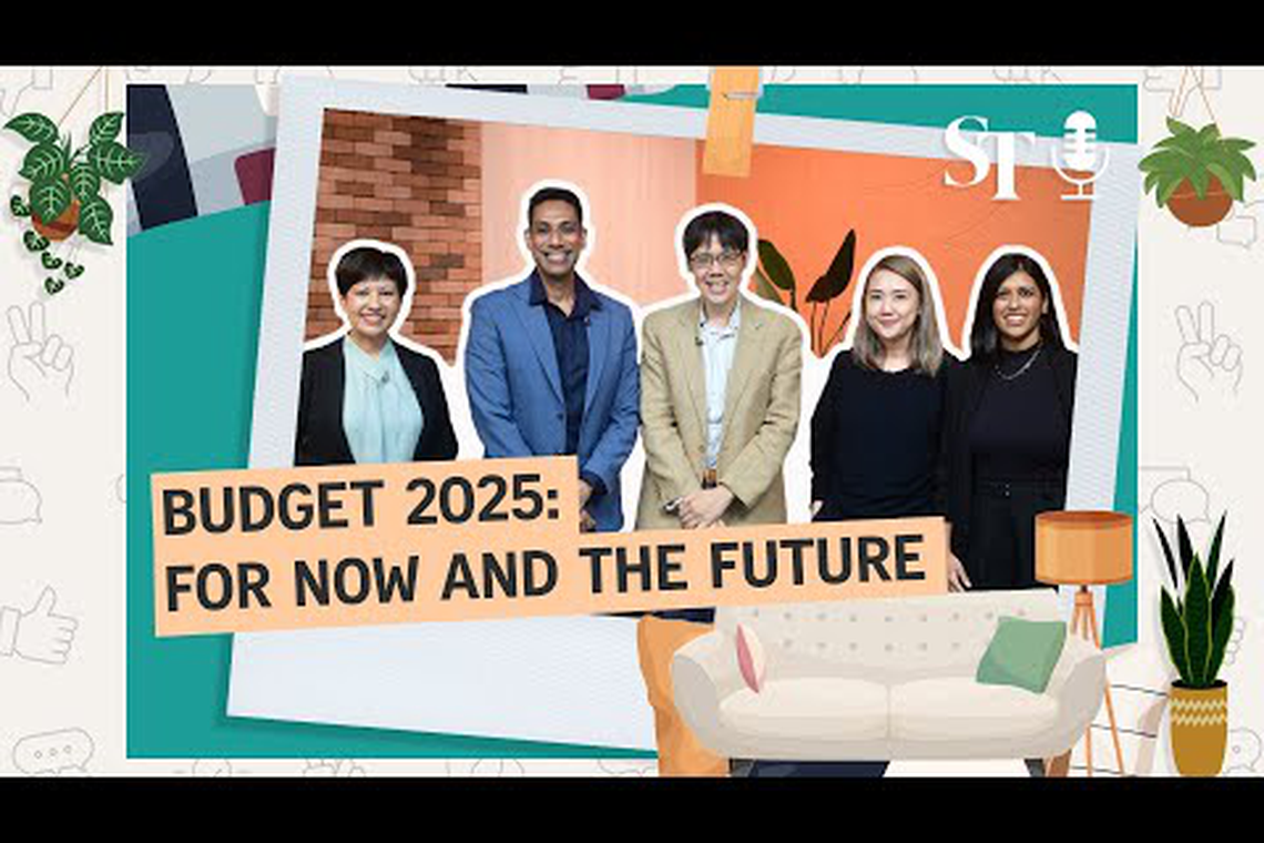 Budget 2025 a Budget for today and the future: Panel