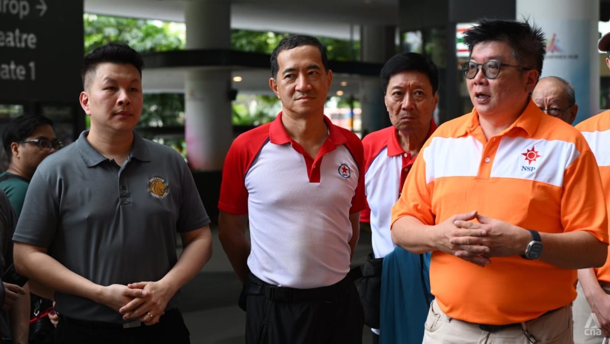 GE2025: NSP to field mix of old-timers, new faces in Tampines GRC, says party president