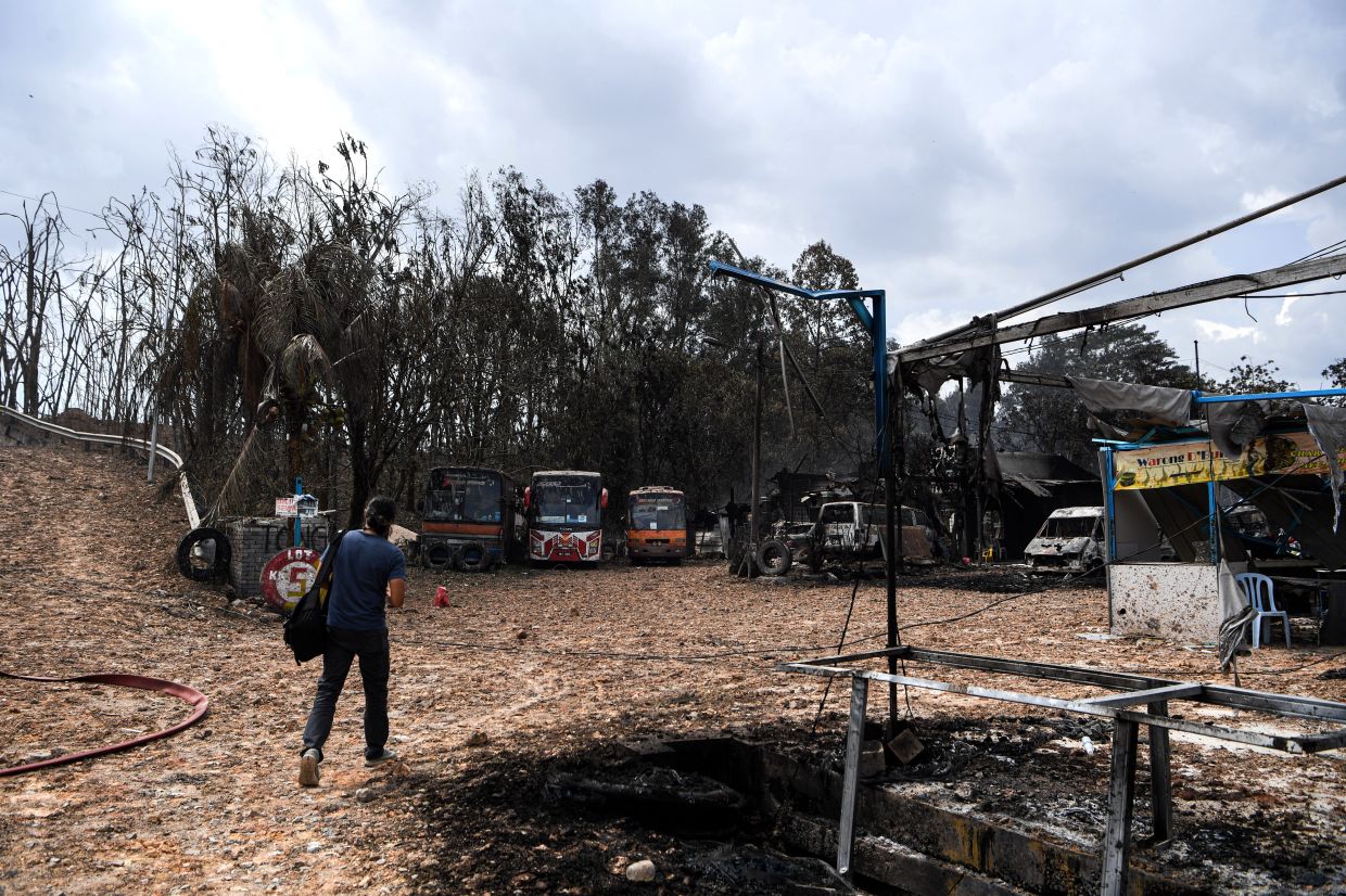 Putra Heights inferno: SAFM launches aid mission for affected animals