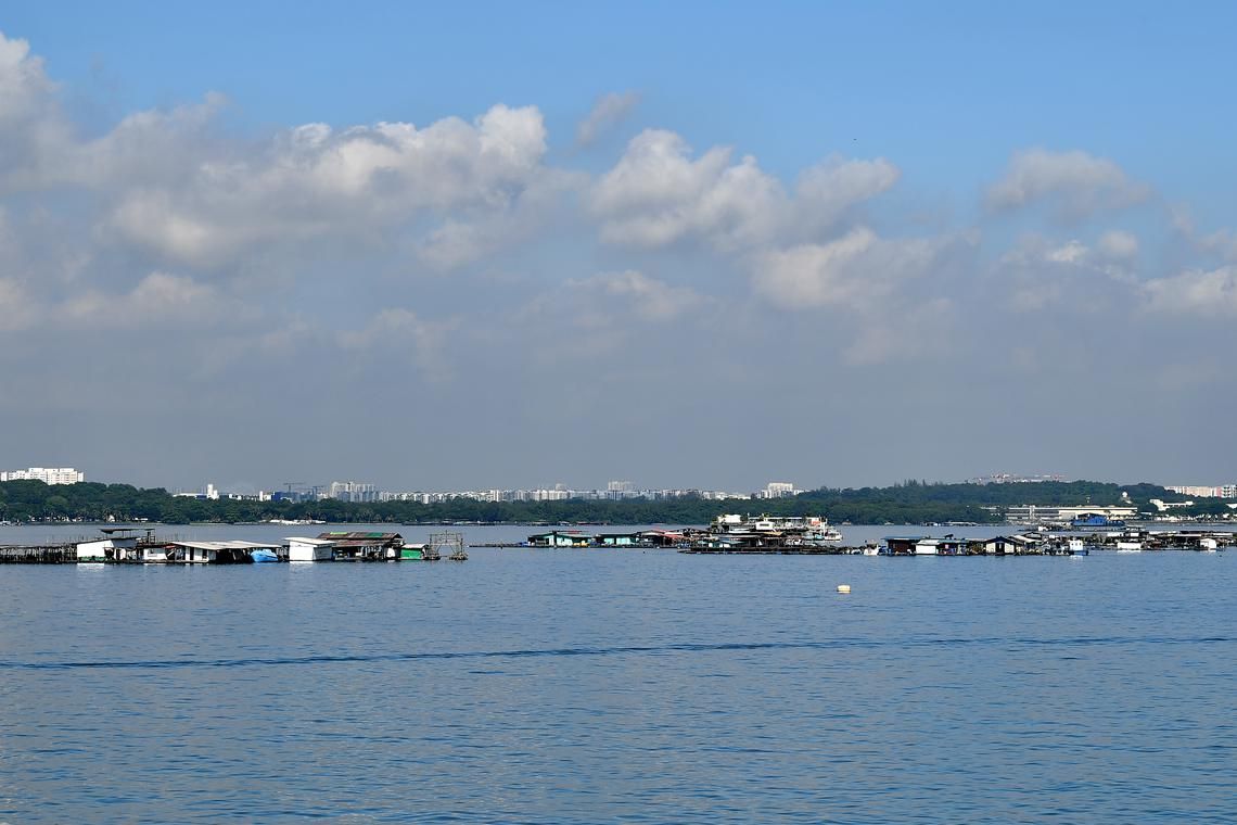 Singapore to expand aquaculture operations in East Johor Strait from 2026