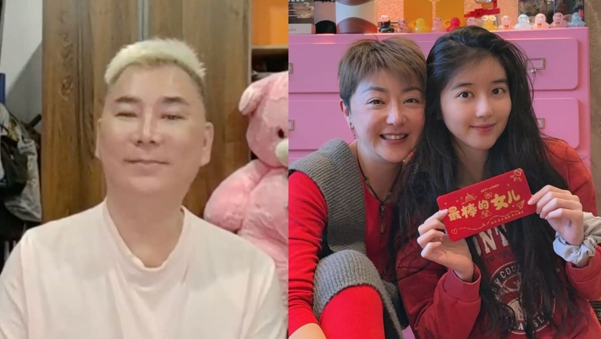 “After Earning 0K, She Threw A Tantrum,”: Addy Lee Slams Ex-BFF Quan Yifeng & Daughter Eleanor Lee On Hours-Long Live Stream Tirade