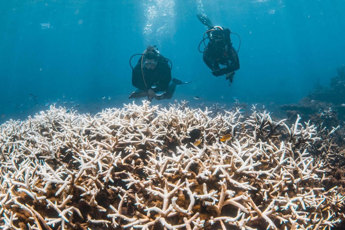 Regional chapter of WEF initiative launched to support ocean impact start-ups in Asia-Pacific