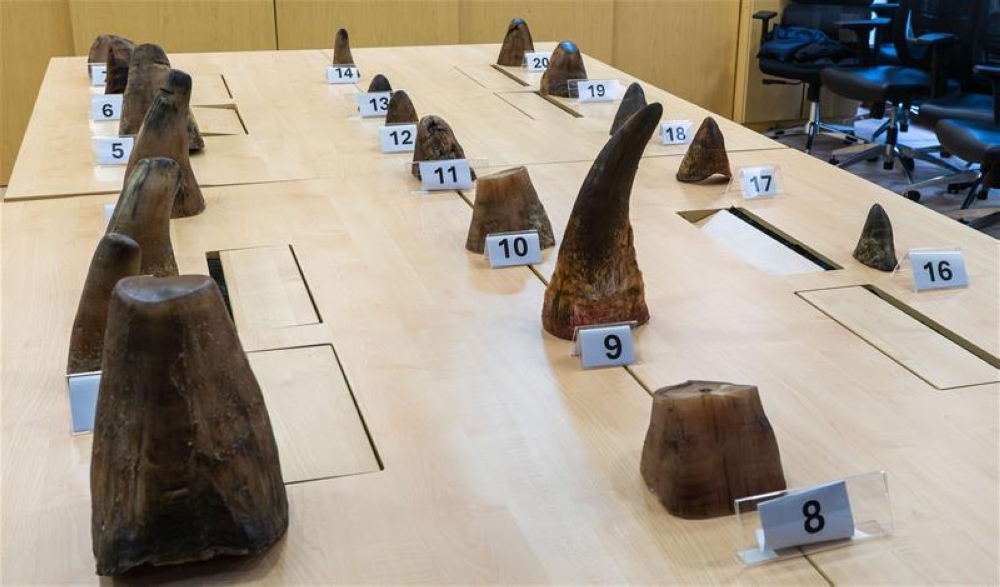 Record haul of rhino horns worth RM3.6m seized at Singapore’s Changi Airport