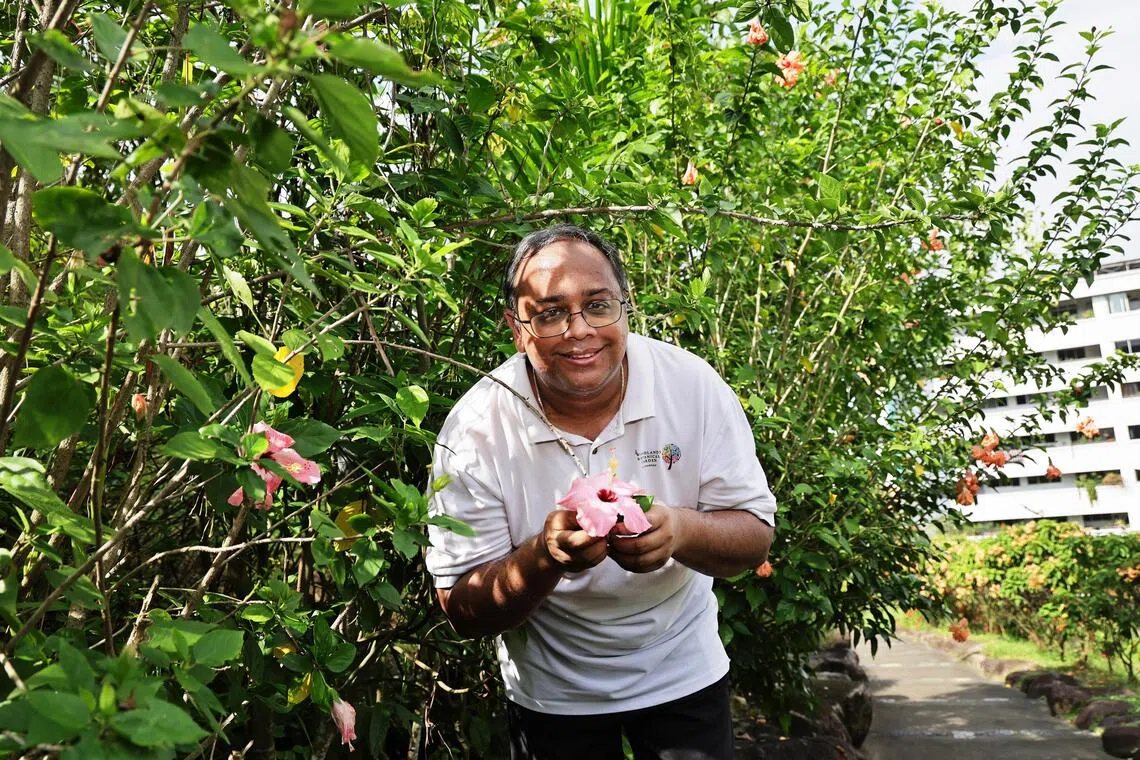 From a hibiscus tree to honour one man’s late mum to the largest community garden in S’pore