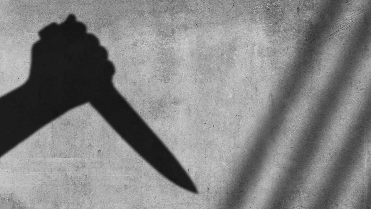 Man fled Singapore after fatally stabbing debtor in 1990, pleads guilty aged 80 after three decades on the run
