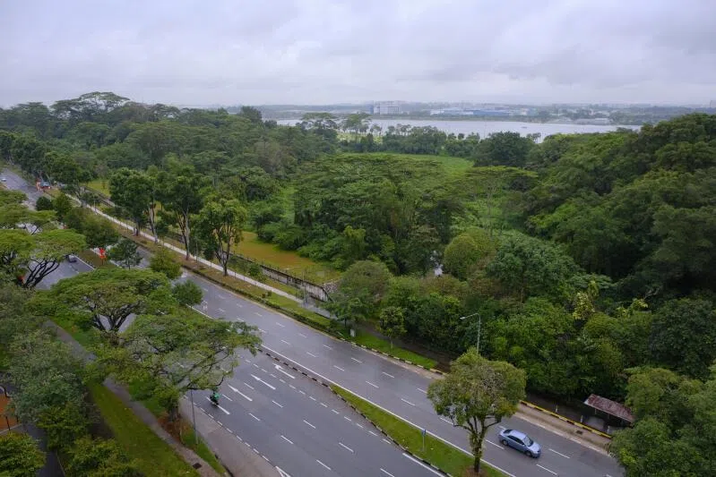 HDB launches executive condominium site at Miltonia Close for sale