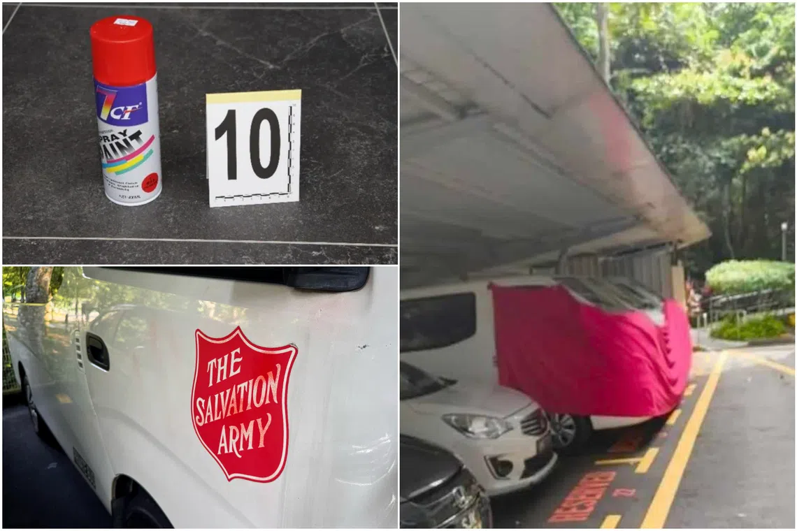 Woman linked to Salvation Army vandalism incident to be charged on Dec 27