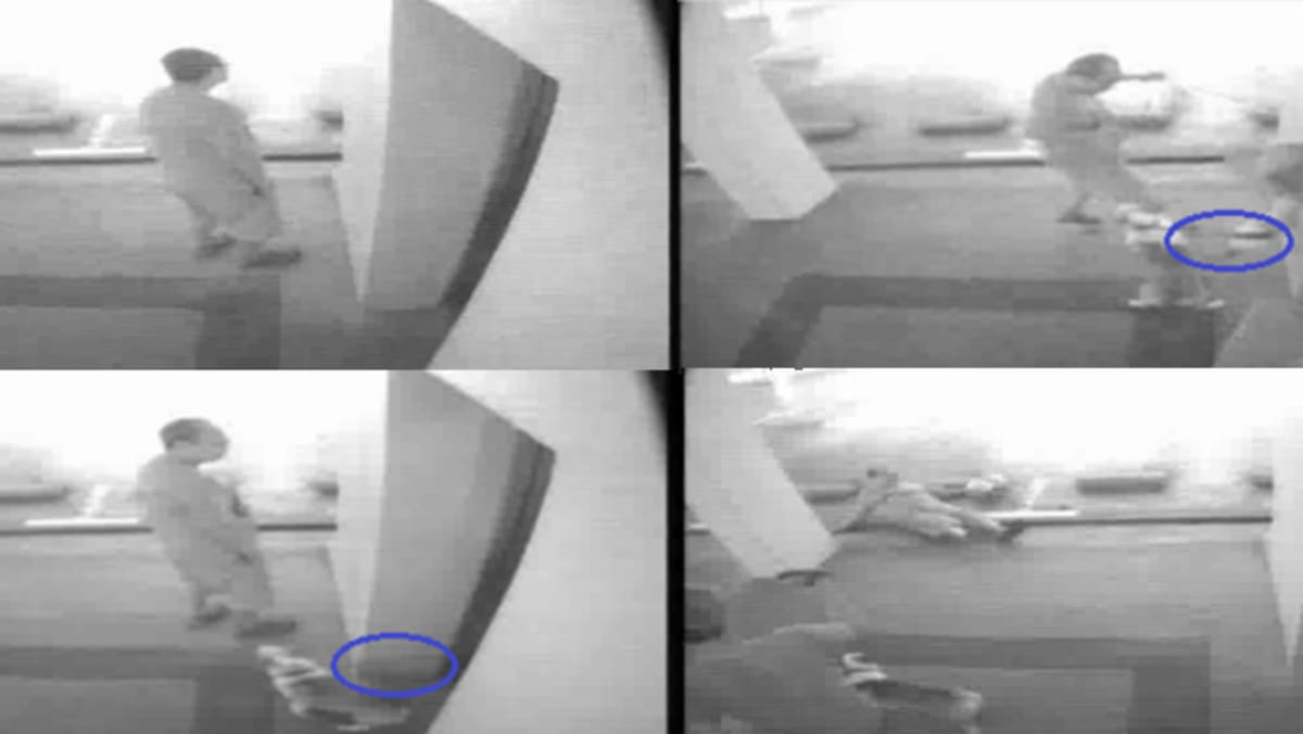 Man fell and injured brain after being shocked by neighbour’s dog exiting lift, daughter sues but fails