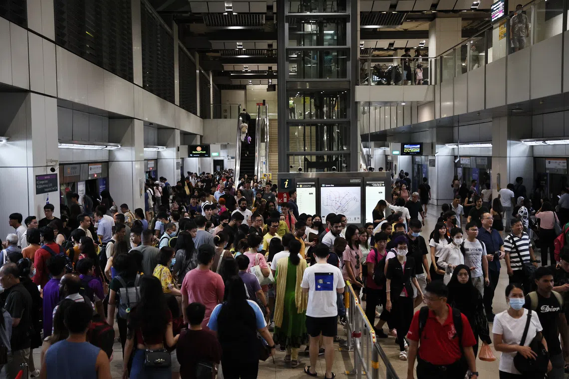 Out for late-night festivities? Bus, train services extended on Christmas Eve