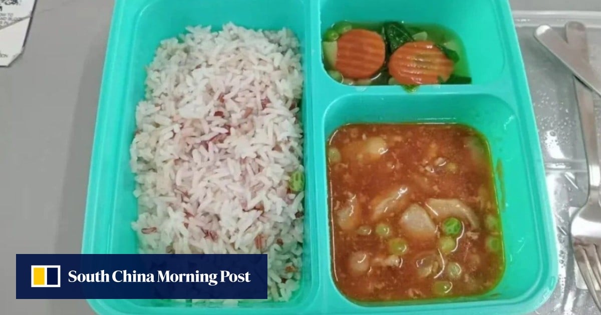 Singapore school battles backlash over bento meal quality: ‘pasta tasted like grass’