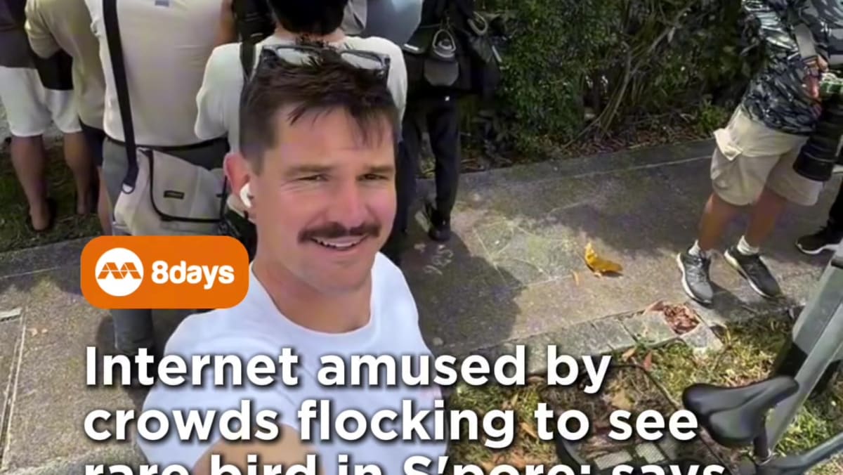 The Eurasian hoopoe has not been seen in Singapore since