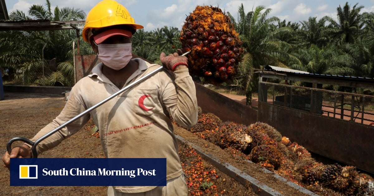 Malaysians’ foreign-policy satire, Japan’s fighter jet project boost: 7 Asia highlights