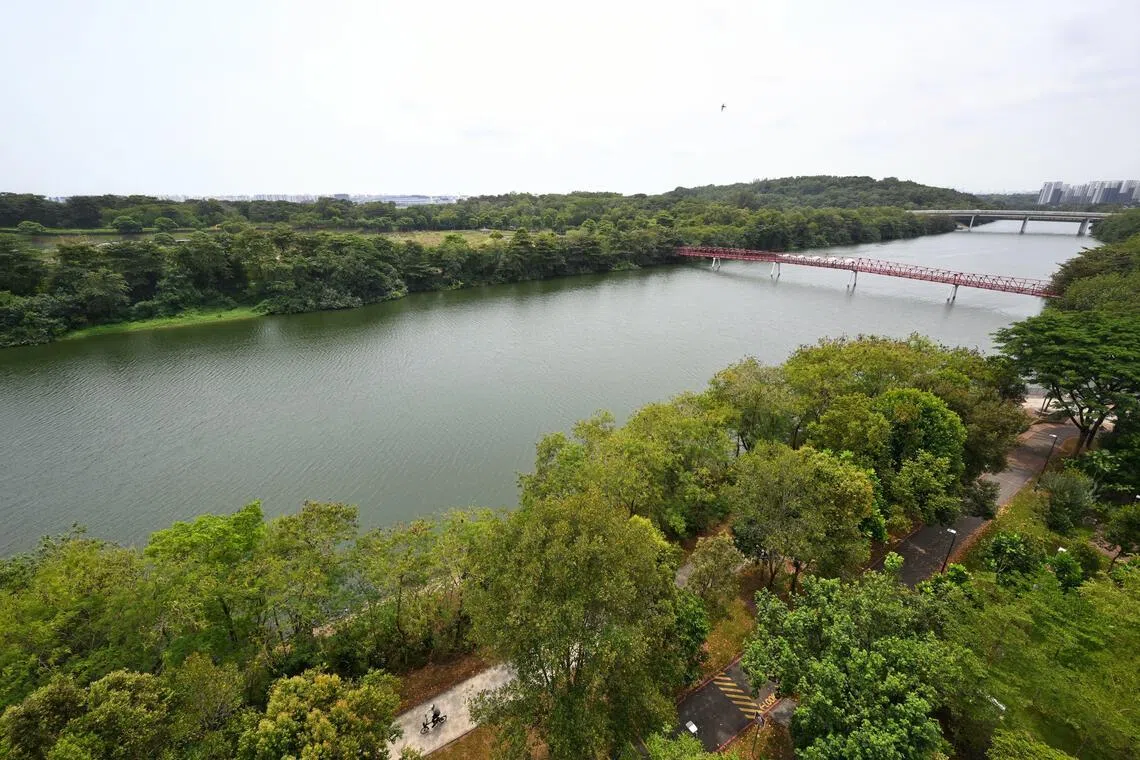 Nature Society Singapore proposes keeping a third of Paya Lebar redevelopment space as green areas