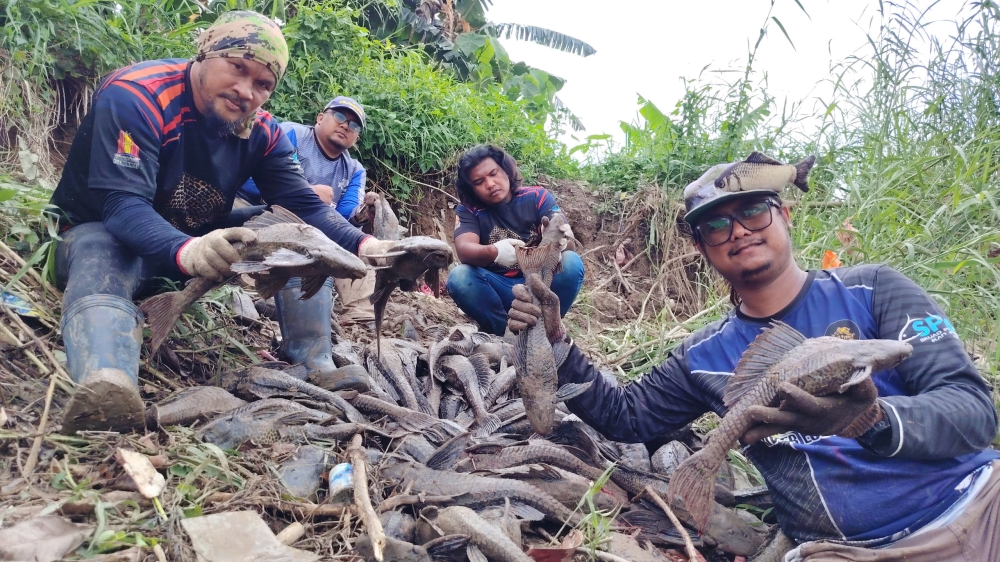 Meet SPIA: The squad hooked on reeling in alien fish clogging Malaysia’s rivers