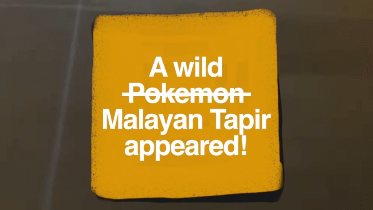 probably rarer than a shiny rayquaza sg sgtrending