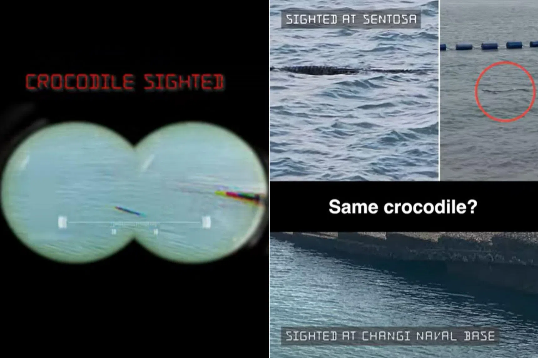 Crocodile seen in waters near Changi Naval Base; second reported sighting after Sentosa