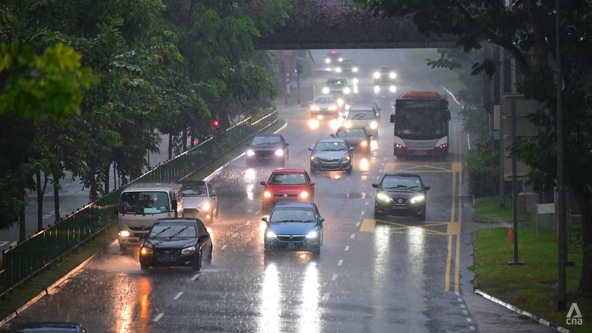 Reduced PARF rebates may boost sales of new EVs, secondhand cars: Analysts