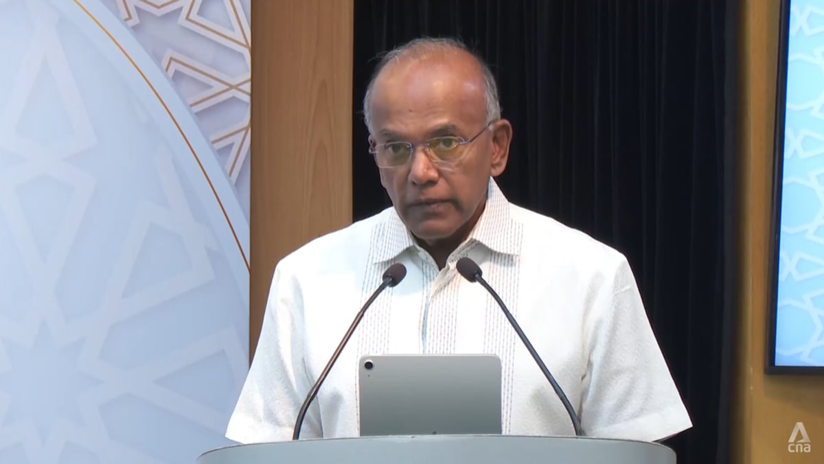 Singapore will take action against citizens who fight overseas in foreign causes: Shanmugam