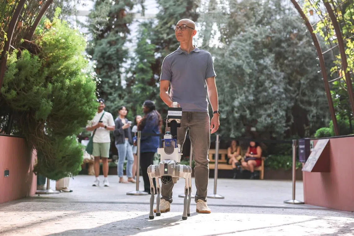 Gardens by the Bay to offer robot guide dog, online sensory map for visitors with disabilities