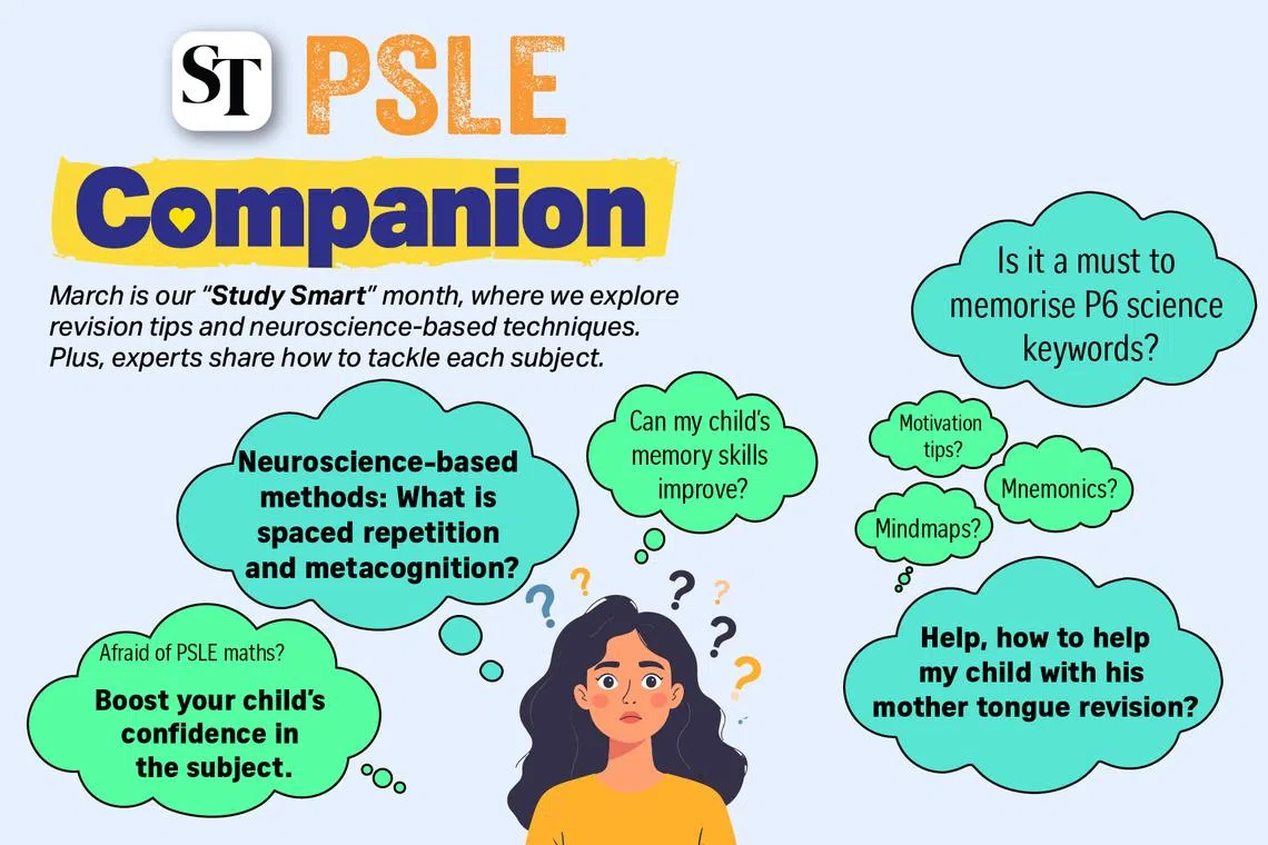 Neuroscience-backed PSLE revision methods for children
