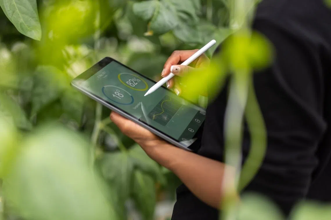 askST: Which jobs and skills will be in demand in a greener economy?