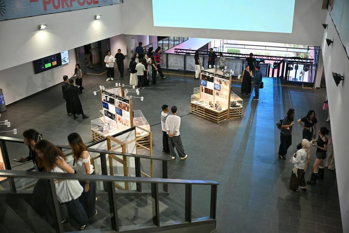 Myna Changes and Tether: TP students design book and fashion collection to promote environmental sustainability