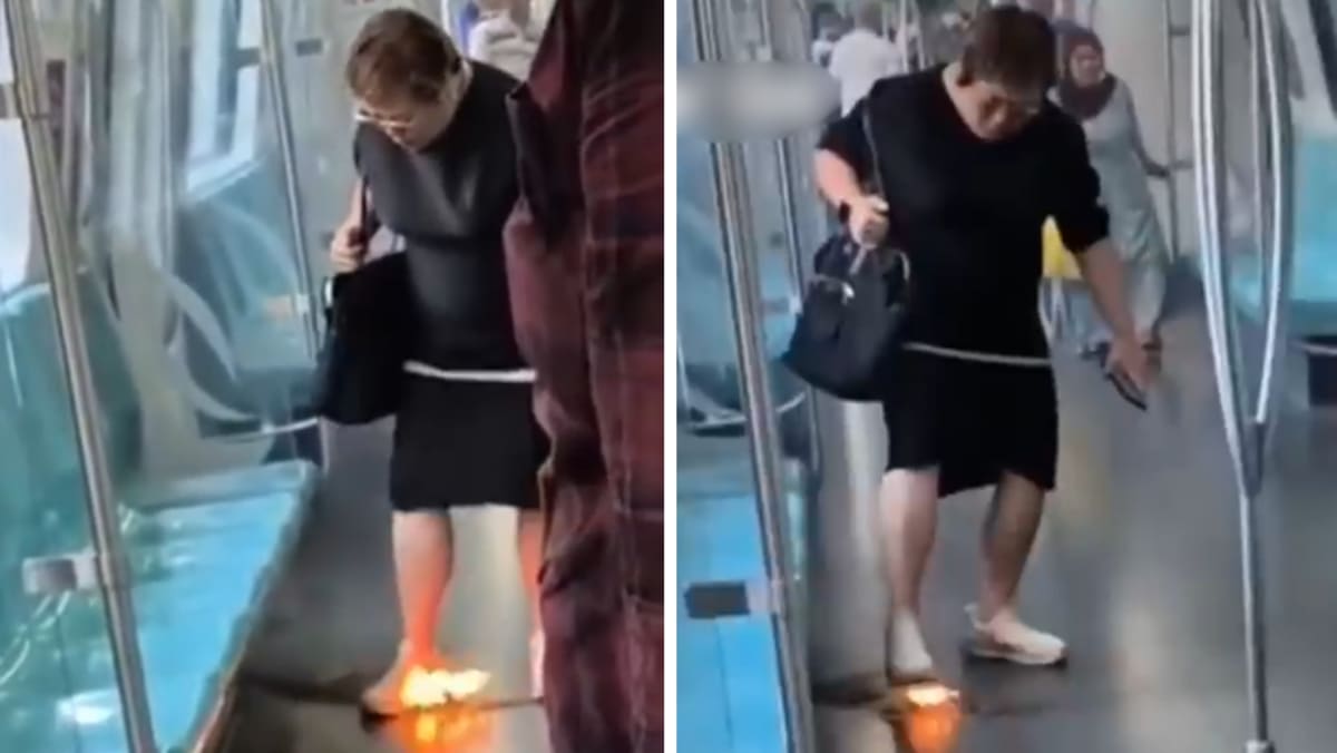 Woman taken to hospital after her power bank catches fire on train at Admiralty MRT station